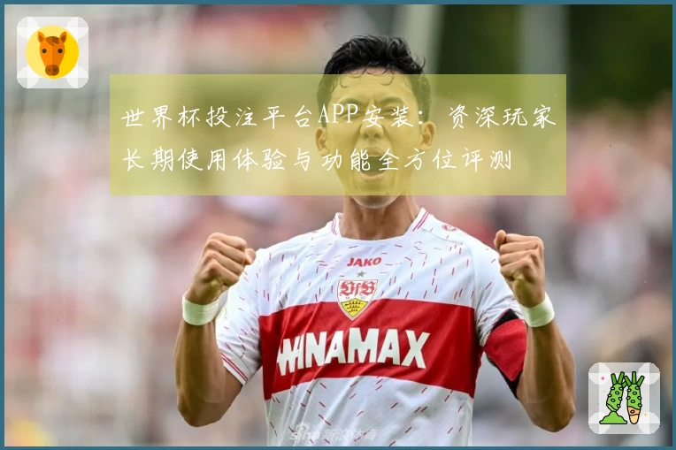 世界杯投注平台APP安装：资深玩家长期使用体验与功能全方位评测