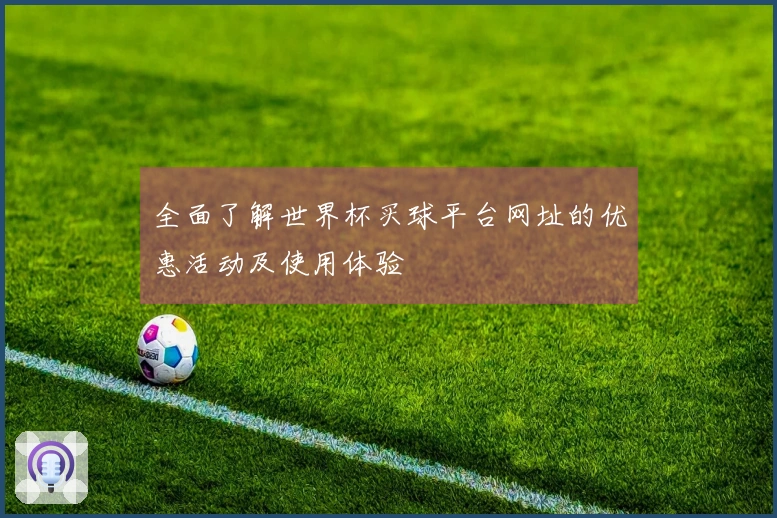 全面了解世界杯买球平台网址的优惠活动及使用体验