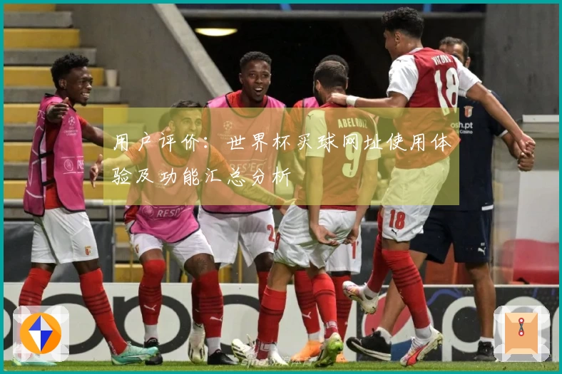 用户评价：世界杯买球网址使用体验及功能汇总分析