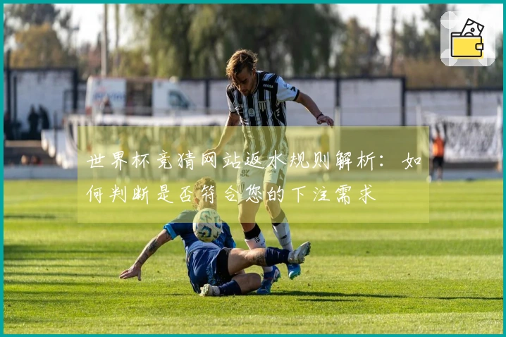 世界杯竞猜网站返水规则解析：如何判断是否符合您的下注需求