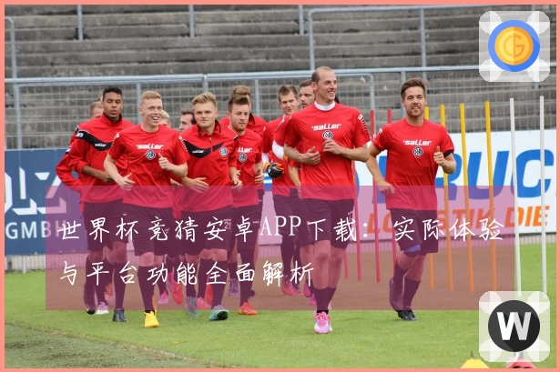 世界杯竞猜安卓APP下载：实际体验与平台功能全面解析