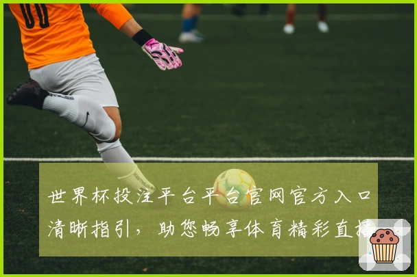 世界杯投注平台平台官网官方入口清晰指引，助您畅享体育精彩直播与优质体验
