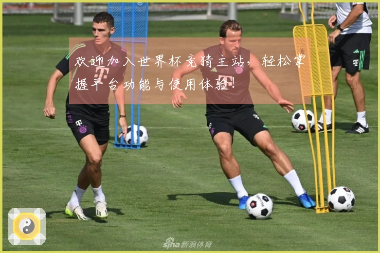 欢迎加入世界杯竞猜主站，轻松掌握平台功能与使用体验！