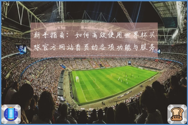 新手指南：如何高效使用世界杯买球官方网站首页的各项功能与服务