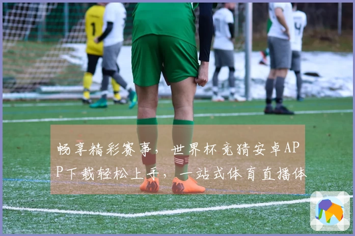 畅享精彩赛事，世界杯竞猜安卓APP下载轻松上手，一站式体育直播体验