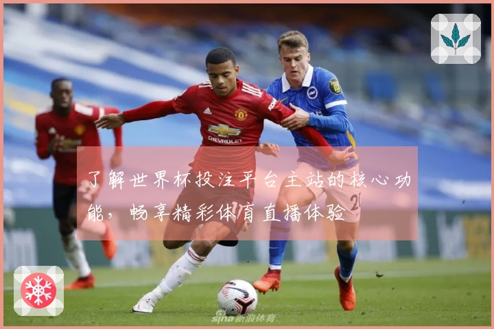 了解世界杯投注平台主站的核心功能，畅享精彩体育直播体验