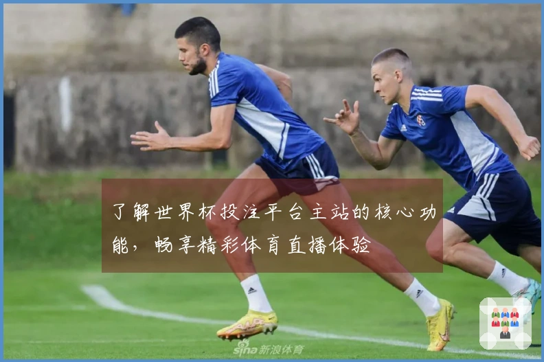 了解世界杯投注平台主站的核心功能，畅享精彩体育直播体验