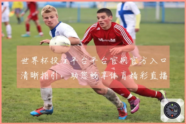 世界杯投注平台平台官网官方入口清晰指引，助您畅享体育精彩直播与优质体验