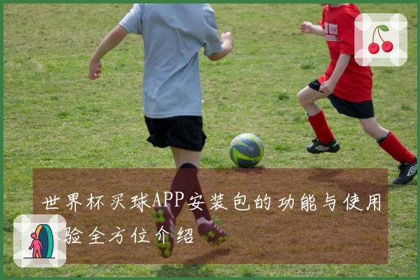 世界杯买球APP安装包的功能与使用体验全方位介绍