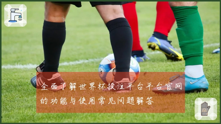 全面了解世界杯投注平台平台官网的功能与使用常见问题解答