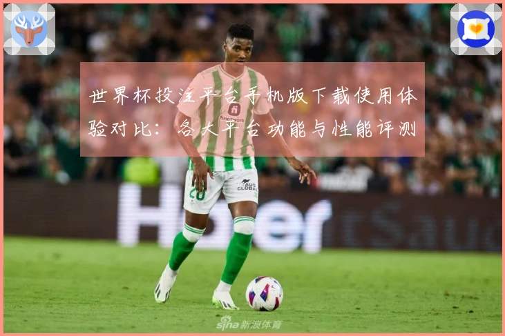 世界杯投注平台手机版下载使用体验对比：各大平台功能与性能评测分析