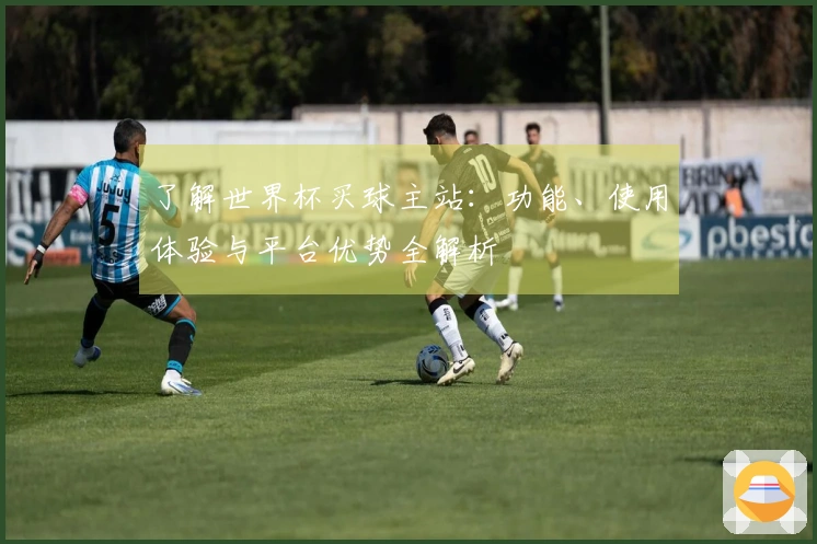 了解世界杯买球主站：功能、使用体验与平台优势全解析