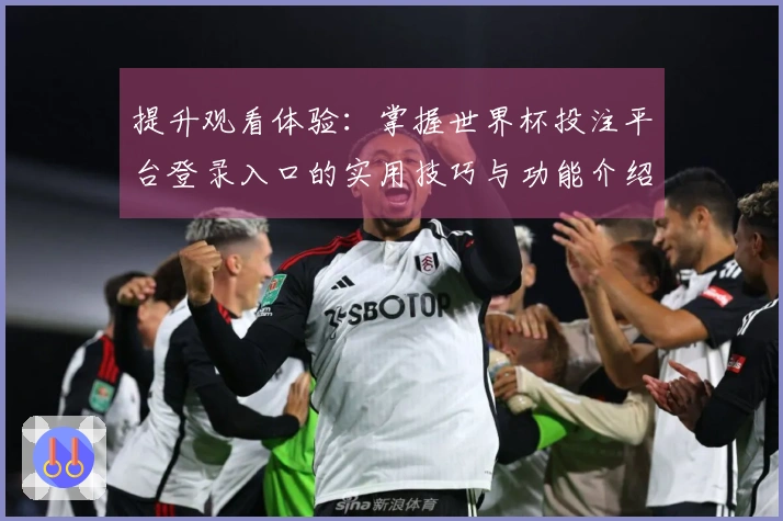 提升观看体验：掌握世界杯投注平台登录入口的实用技巧与功能介绍
